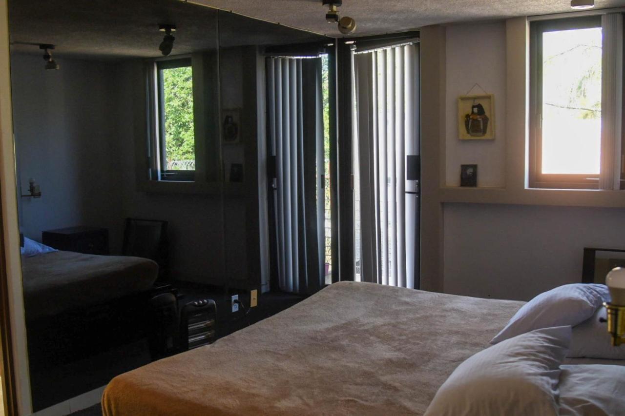 Casa Lulu Coyoacan Alvaro Obregon Exteriér fotografie