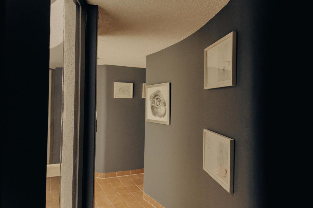 Casa Lulu Coyoacan Alvaro Obregon Exteriér fotografie