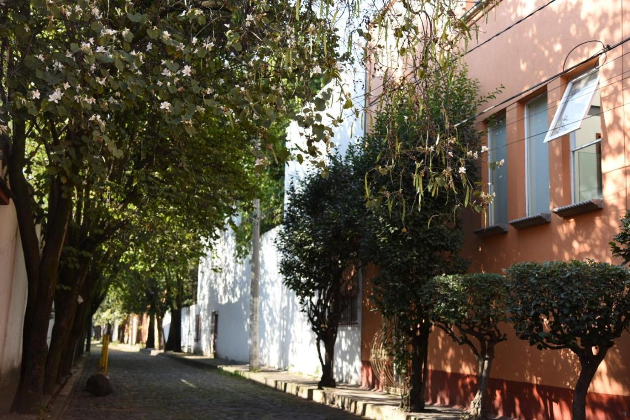 Casa Lulu Coyoacan Alvaro Obregon Exteriér fotografie