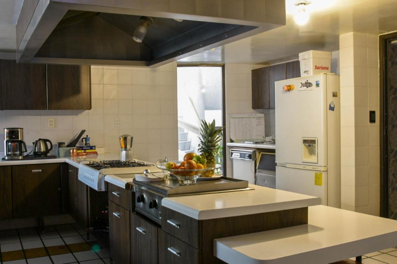 Casa Lulu Coyoacan Alvaro Obregon Exteriér fotografie