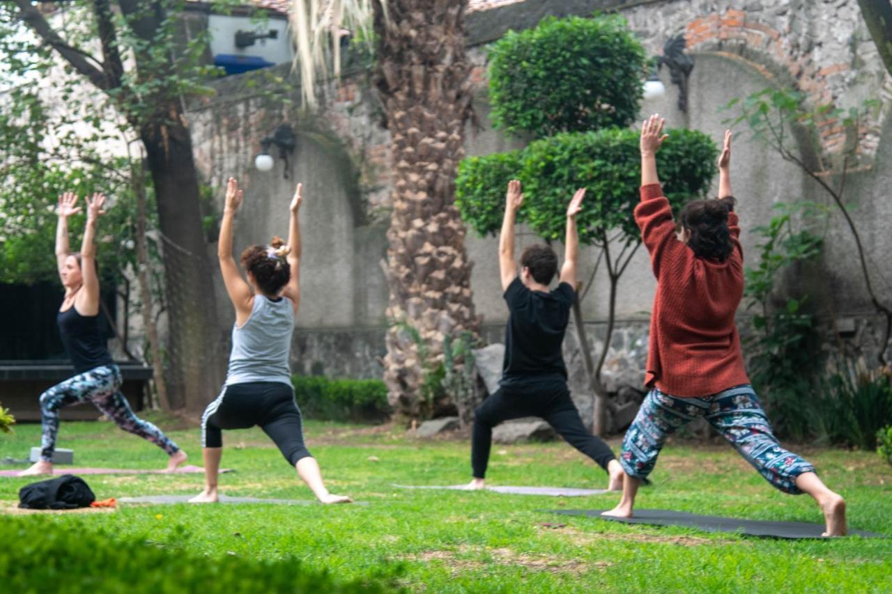 Casa Lulu Coyoacan Alvaro Obregon Exteriér fotografie